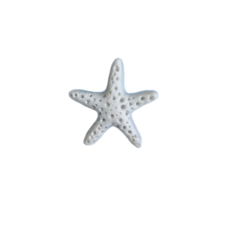 Starfish Silver Brooch